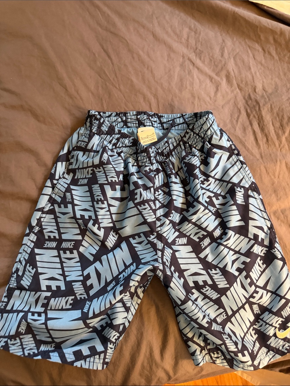Nike Logo Boys Swim Trunks